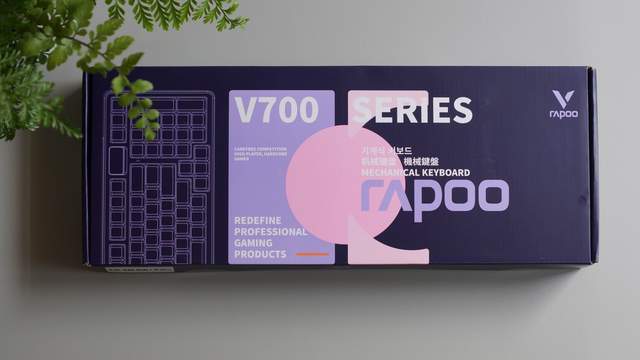 V700 DIY-98键盘不后悔澳门新葡京这么劲、那么美选雷柏(图22)
